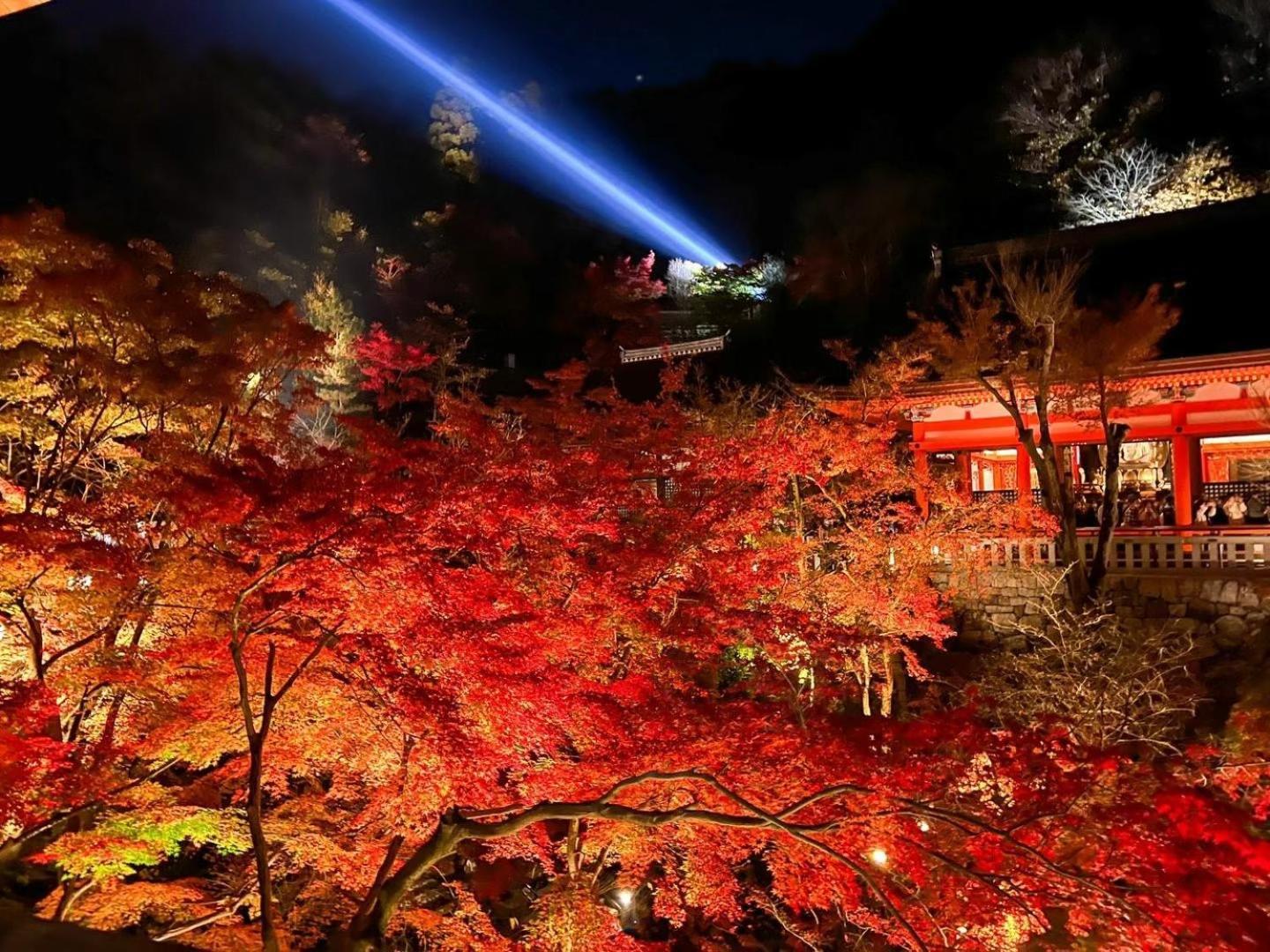 Rinn Gion Shirakawa Kioto Zewnętrze zdjęcie